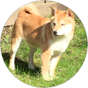 Fabienne S. profile picture